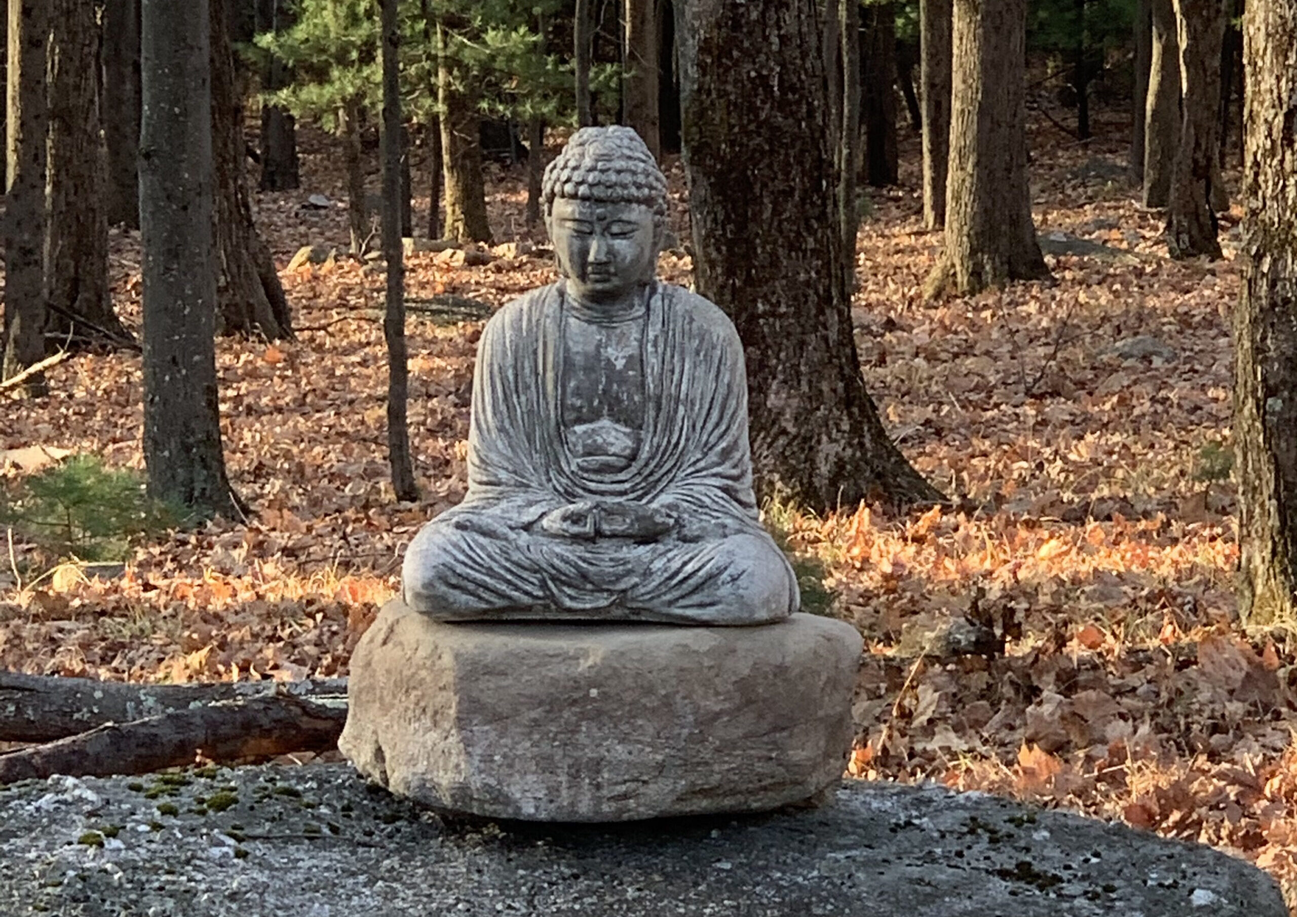 A stone statue of a sitting Buddha among fall leaves