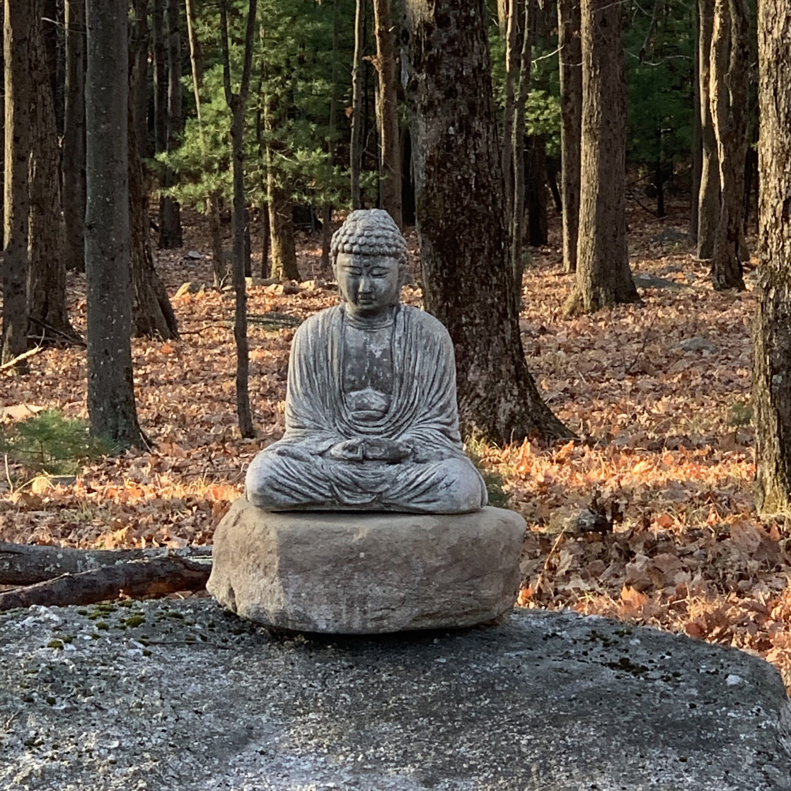 A stone statue of a sitting Buddha among fall leaves