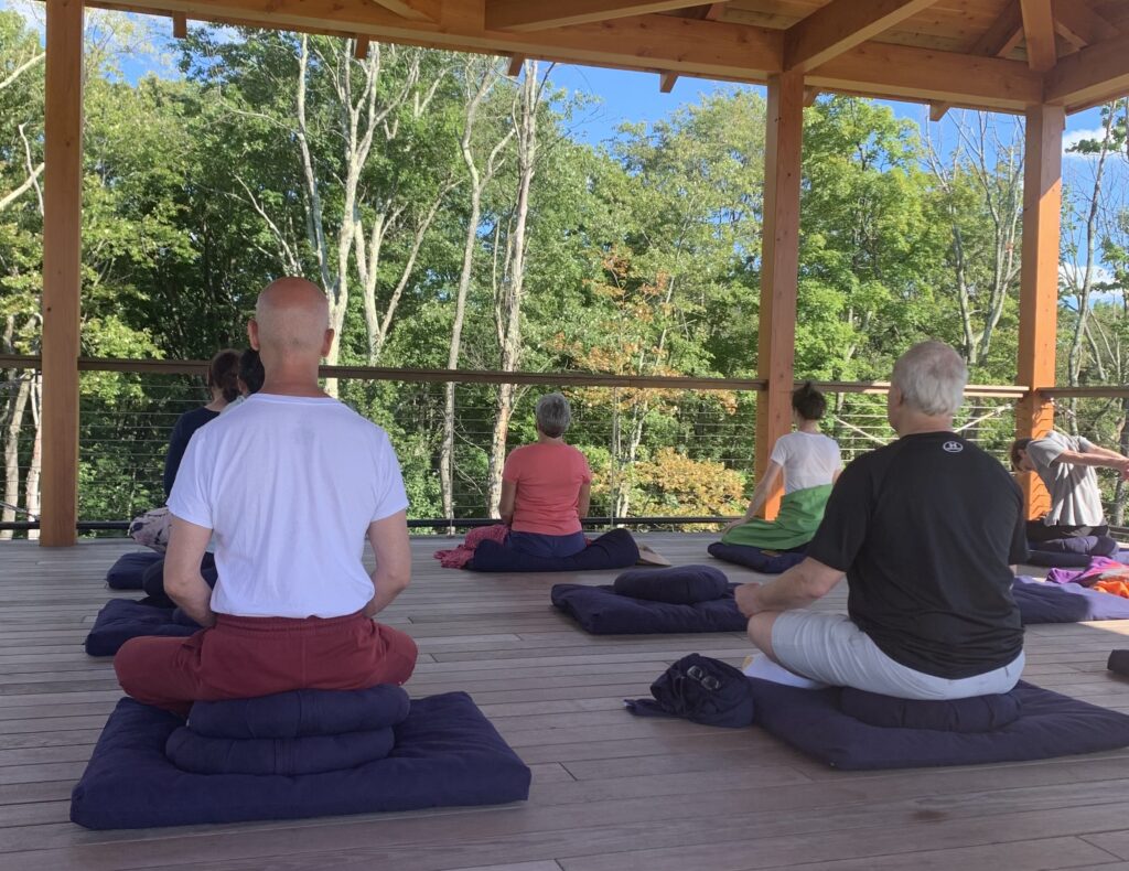 people on meditation cushions with trees in the background