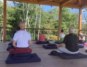 peopel on medition cushions with trees in the background