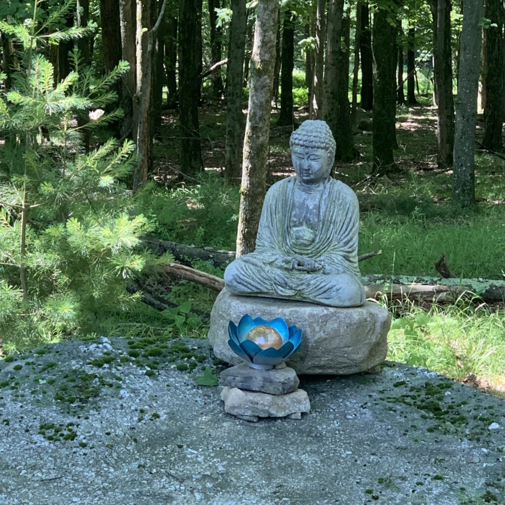 The programs featured image